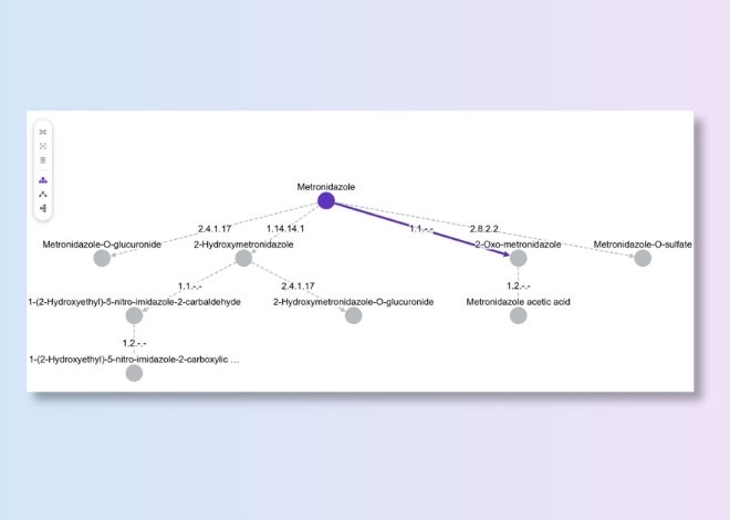 CDDI 代謝路徑分析
