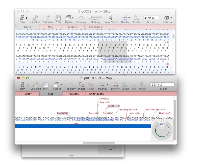 MacVector 序列編輯器與圖譜